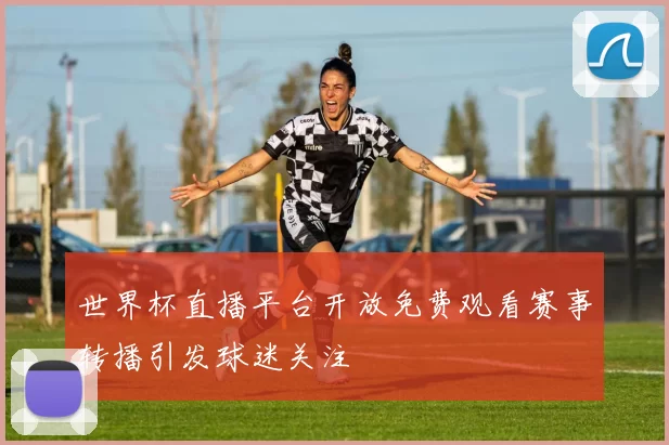 世界杯直播平台开放免费观看赛事转播引发球迷关注