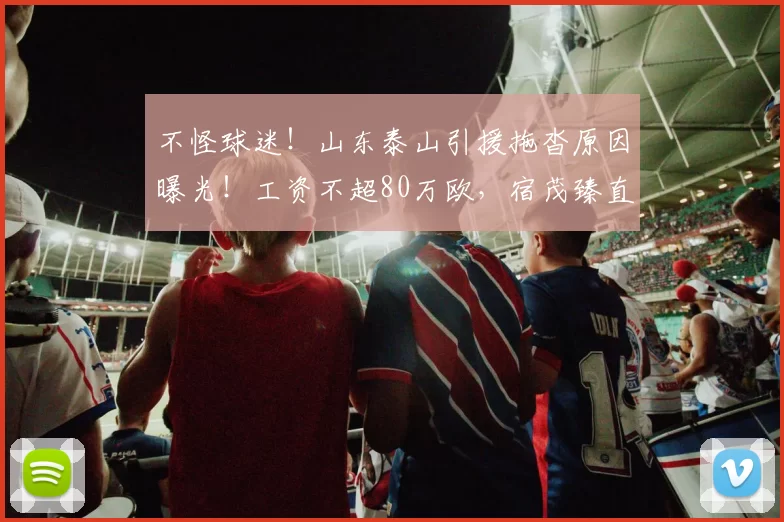 不怪球迷！山东泰山引援拖沓原因曝光！工资不超80万欧，宿茂臻直接对