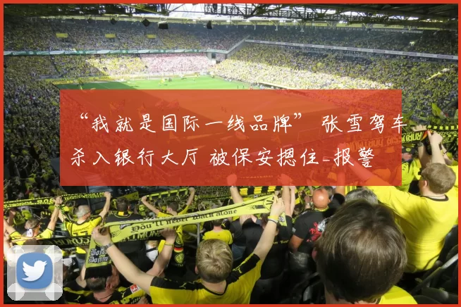 “我就是国际一线品牌” 张雪驾车杀入银行大厅 被保安摁住_报警