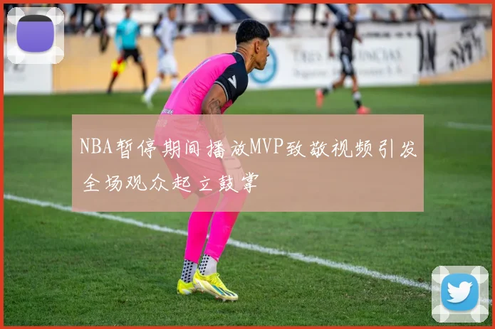 NBA暂停期间播放MVP致敬视频引发全场观众起立鼓掌