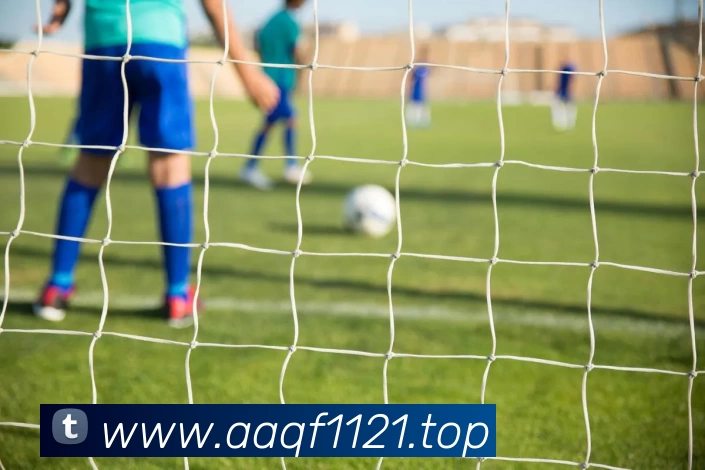 开云(中国)Kaiyun·官方网站 - 登录入口平台生态图